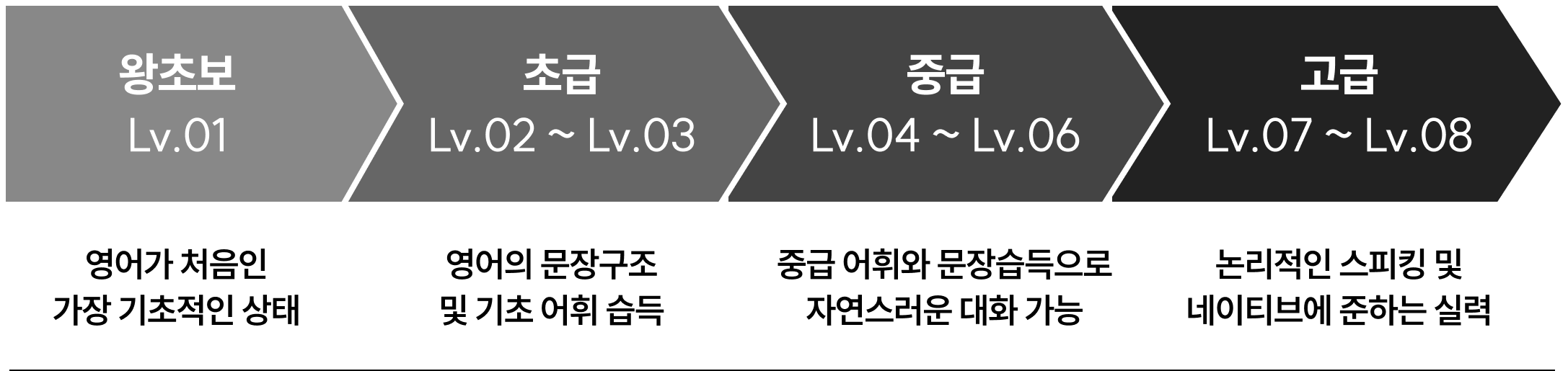 레벨 단계